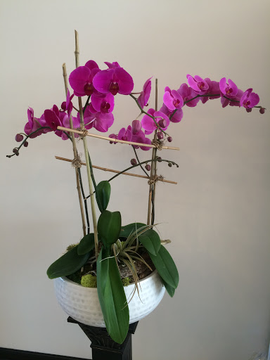 Florist «Petals Floral Design and Gifts», reviews and photos, 202 E Rio Grande Ave, Wildwood, NJ 08260, USA