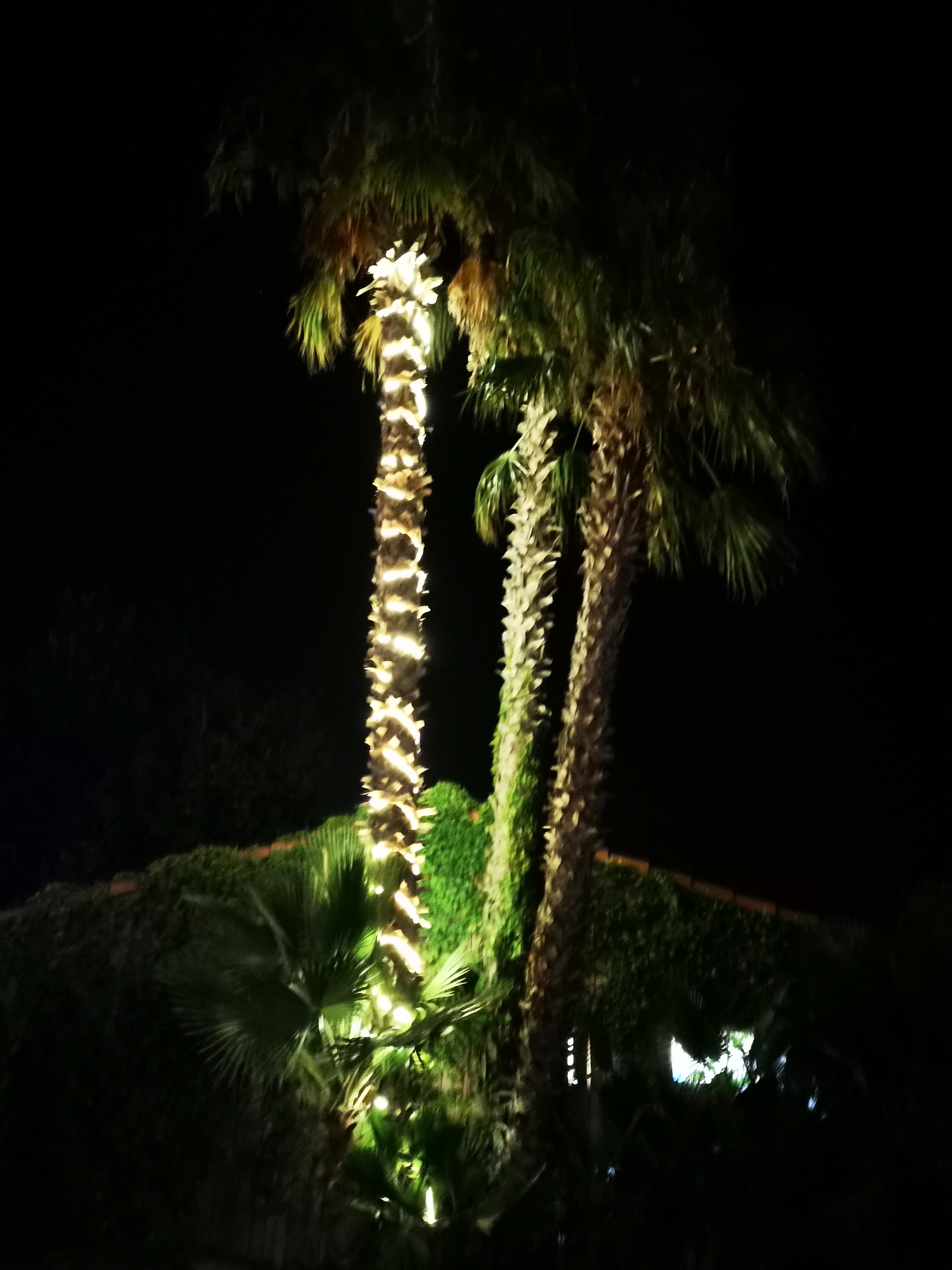 Photo n° 3 de l'avis de Guillaume.a fait le 31/08/2023 à 19:34