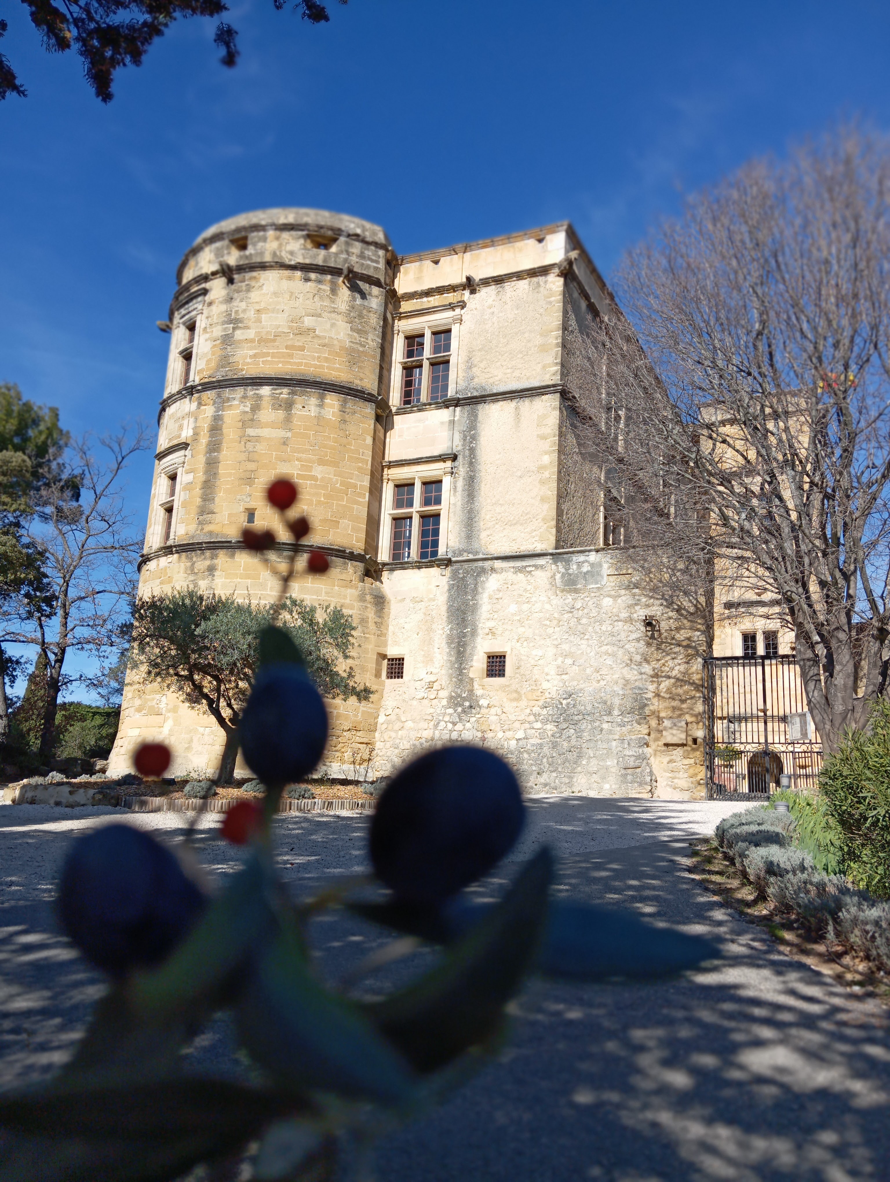 Photo n° 2 de l'avis de Pacha.i fait le 01/03/2024 à 22:31