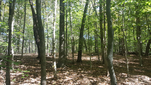 Tourist Attraction «Adventureworks Nashville West (Kingston Springs)», reviews and photos, 1300 Narrows of the Harpeth Rd, Kingston Springs, TN 37082, USA