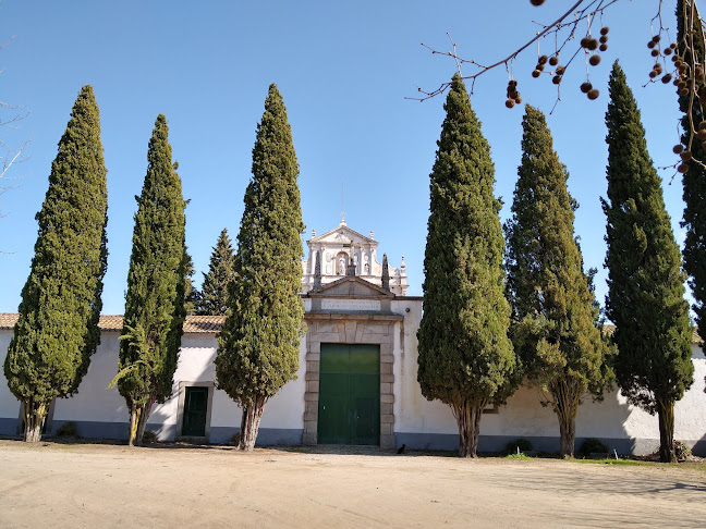 Convento da Cartuxa / Mosteiro de Santa Maria Scala Coeli - Igreja