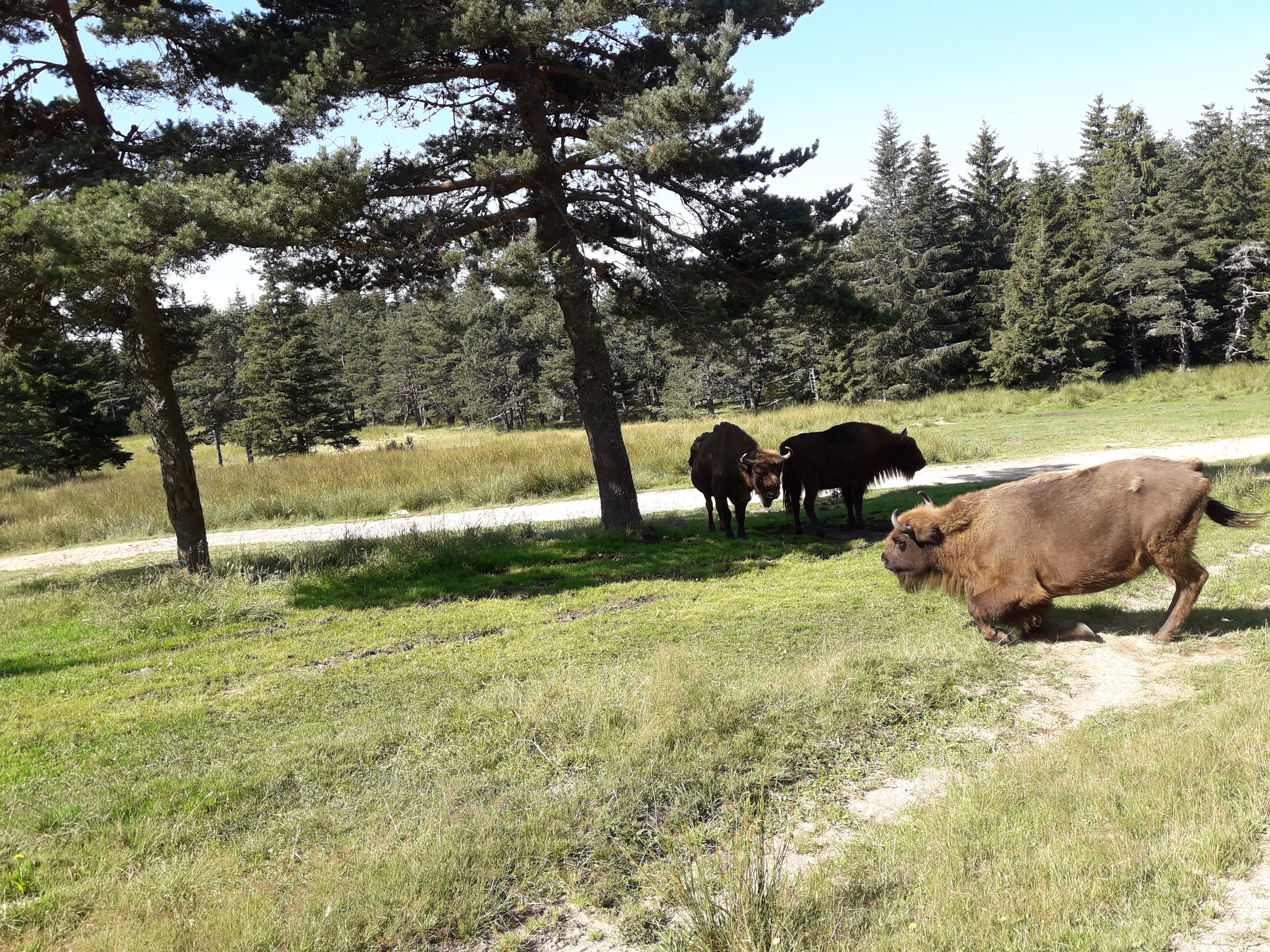 Photo n° 1 de l'avis de Ambre.a fait le 13/08/2021 à 06:05