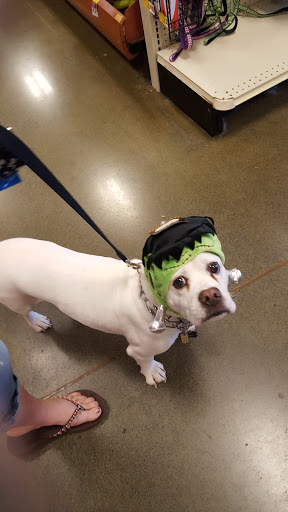 Pet Supply Store «PetSmart», reviews and photos, 3101 Market Center Drive, Morrisville, NC 27560, USA