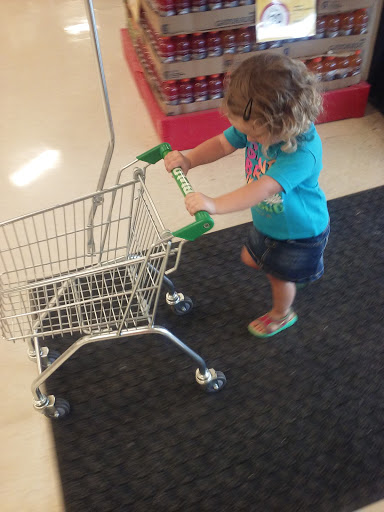 Grocery Store «BI-LO», reviews and photos, 1610 Hwy 17 S, Surfside Beach, SC 29575, USA