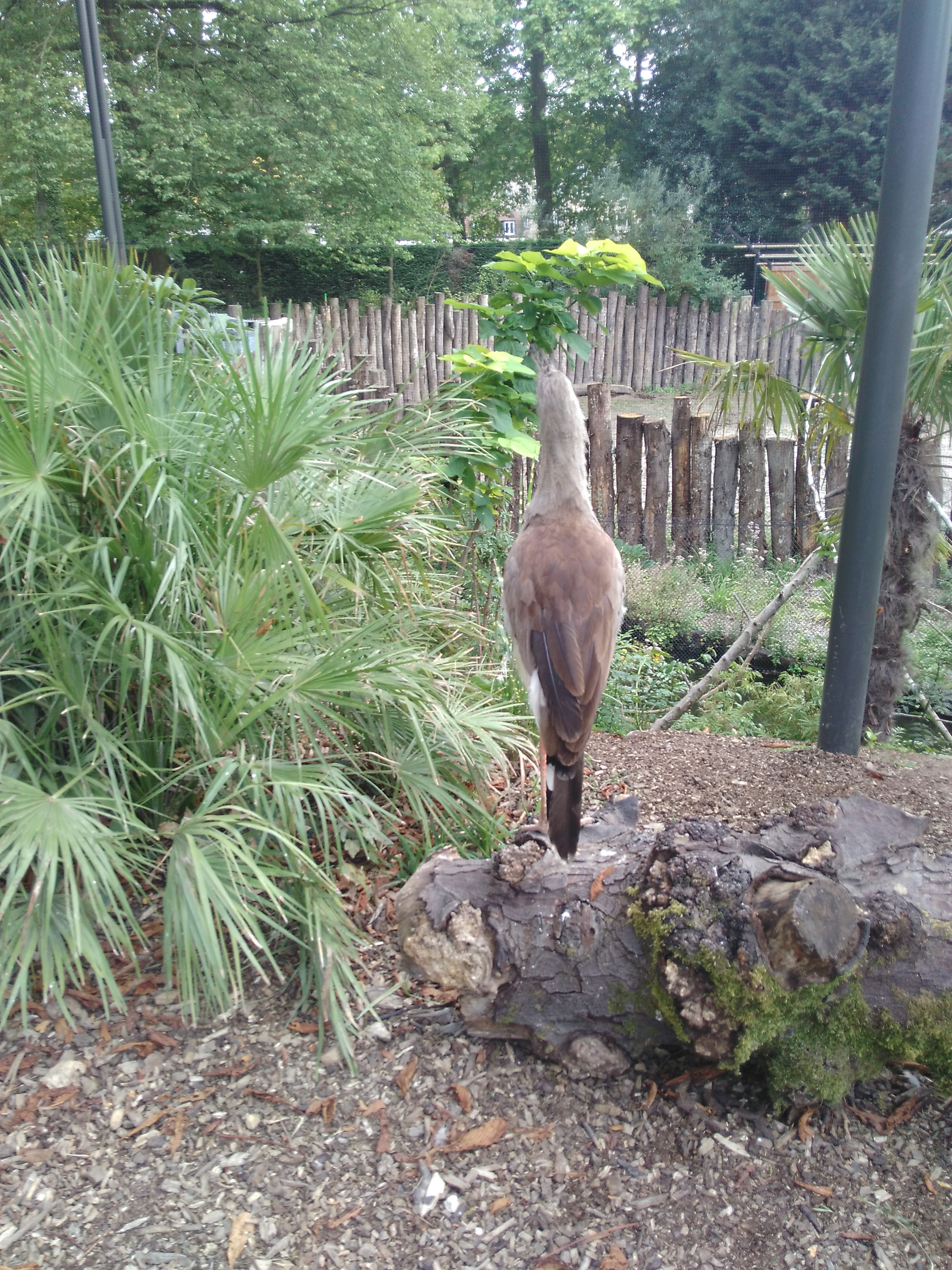 Photo n° 3 de l'avis de Mathilde.a fait le 18/04/2018 à 07:26