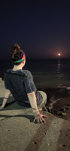 Park «North Shore Beach Park», reviews and photos, 1040 W North Shore Ave, Chicago, IL 60626, USA