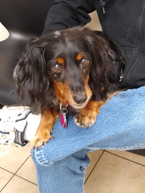 Cumberland Valley Veterinary Clinic