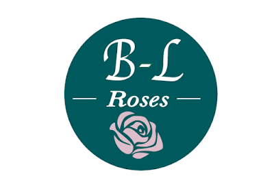 BL Roses à Limoges