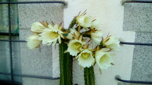 Poliesportiu d'Òrrius en Òrrius, Barcelona