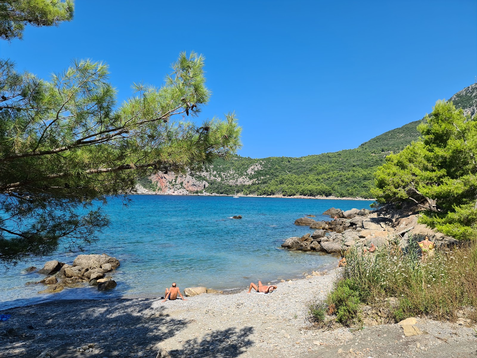 Little Maljevik Beach'in fotoğrafı vahşi alan