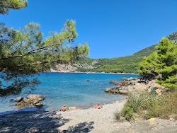 Little Maljevik Beach'in fotoğrafı vahşi alan