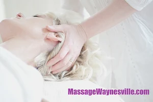 Therapeutic Massage & Wellness Spa llc image