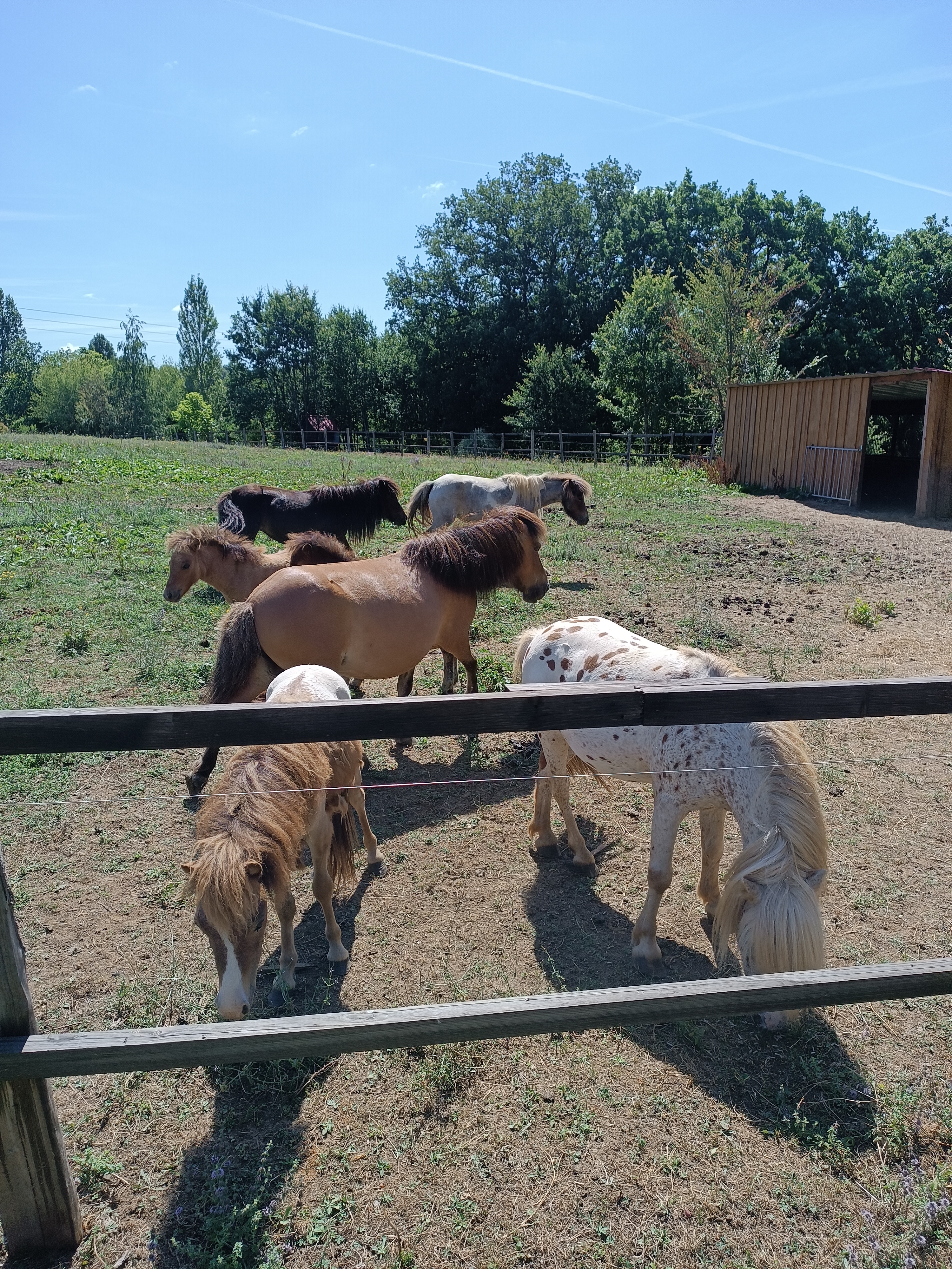 Photo n° 1 de l'avis de Claudy.a fait le 13/07/2023 à 11:26