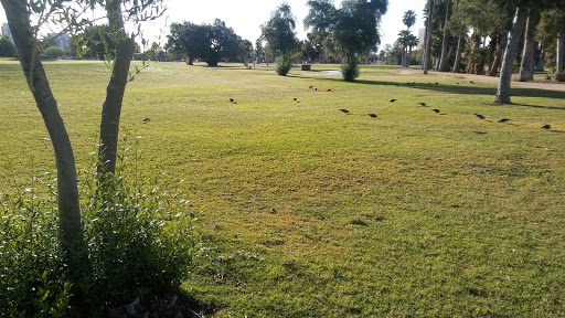 Golf Course Encanto 9 Hole Golf Course reviews and photos 2300 N