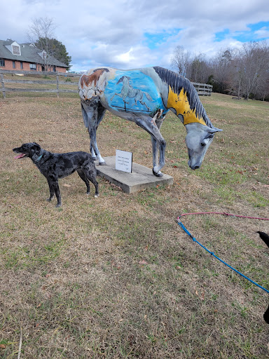 Foothills Equestrian Nature Center (FENCE)
