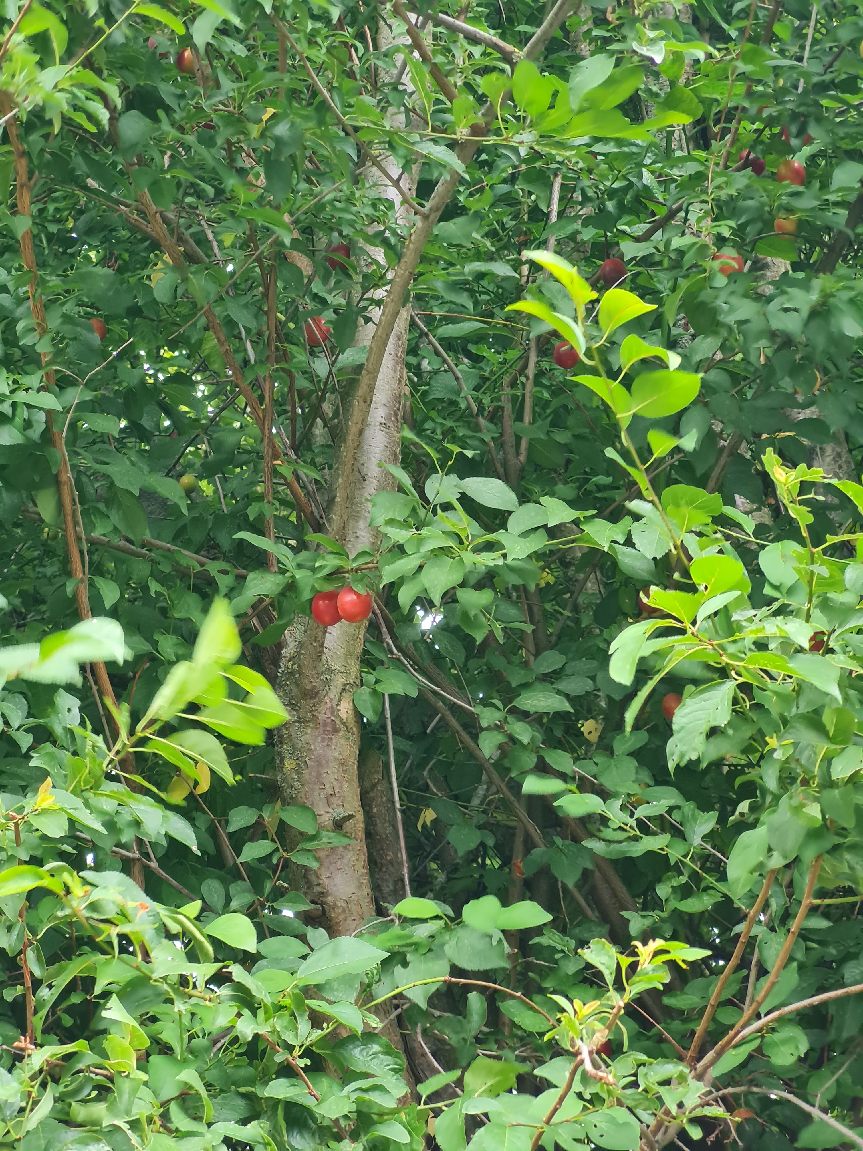 Photo n° 4 de l'avis de murielle.a fait le 05/08/2021 à 18:51
