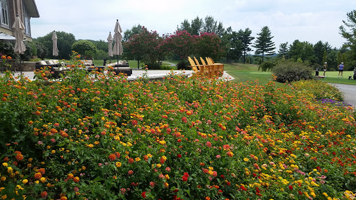 Golf Course «Bretton Woods Golf Course», reviews and photos, 15700 River Rd, Germantown, MD 20874, USA