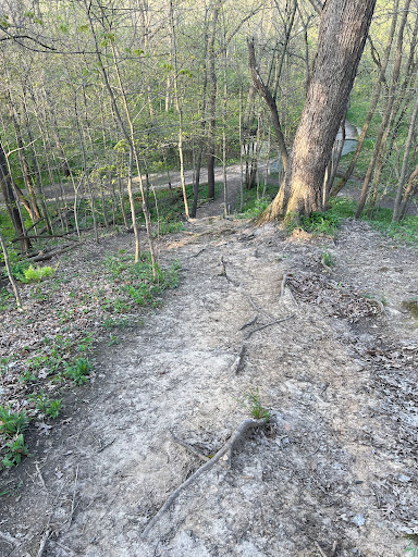 Nature Preserve «Swallow Cliff Woods South», reviews and photos, Illinois Rt 83 & US Rt 45, Palos Park, IL 60464, USA