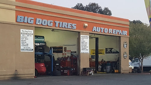 Big Dog Tires