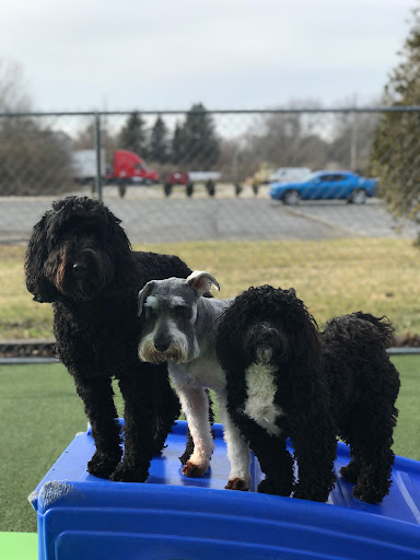 Pet Store «Happy, Clean and Smart», reviews and photos, 5700 W Kilgore Ave, Muncie, IN 47304, USA