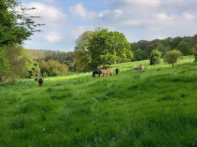 Les crins de verdure à Elbeuf