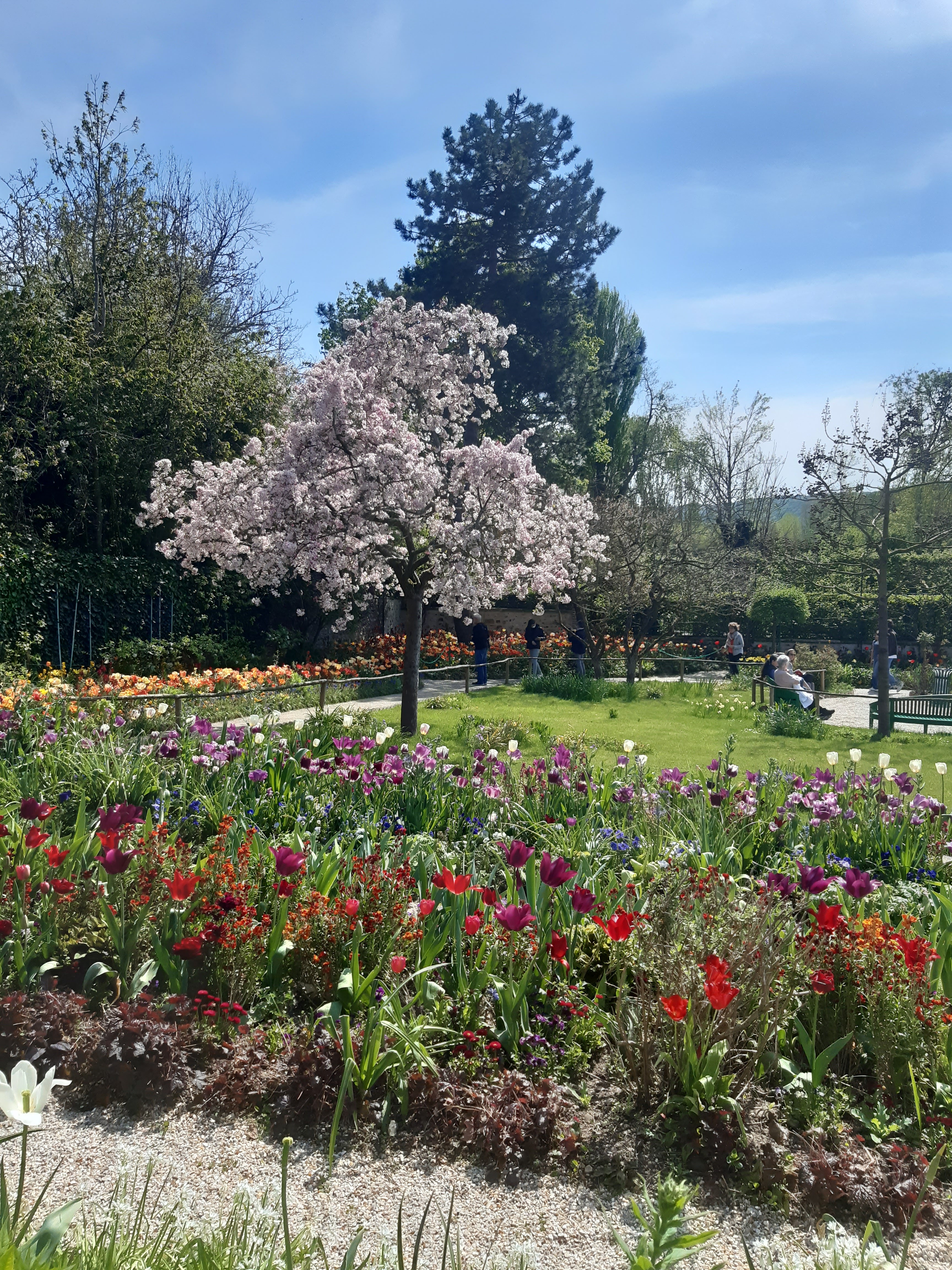 Photo n° 1 de l'avis de Orlane.a fait le 22/04/2022 à 19:49