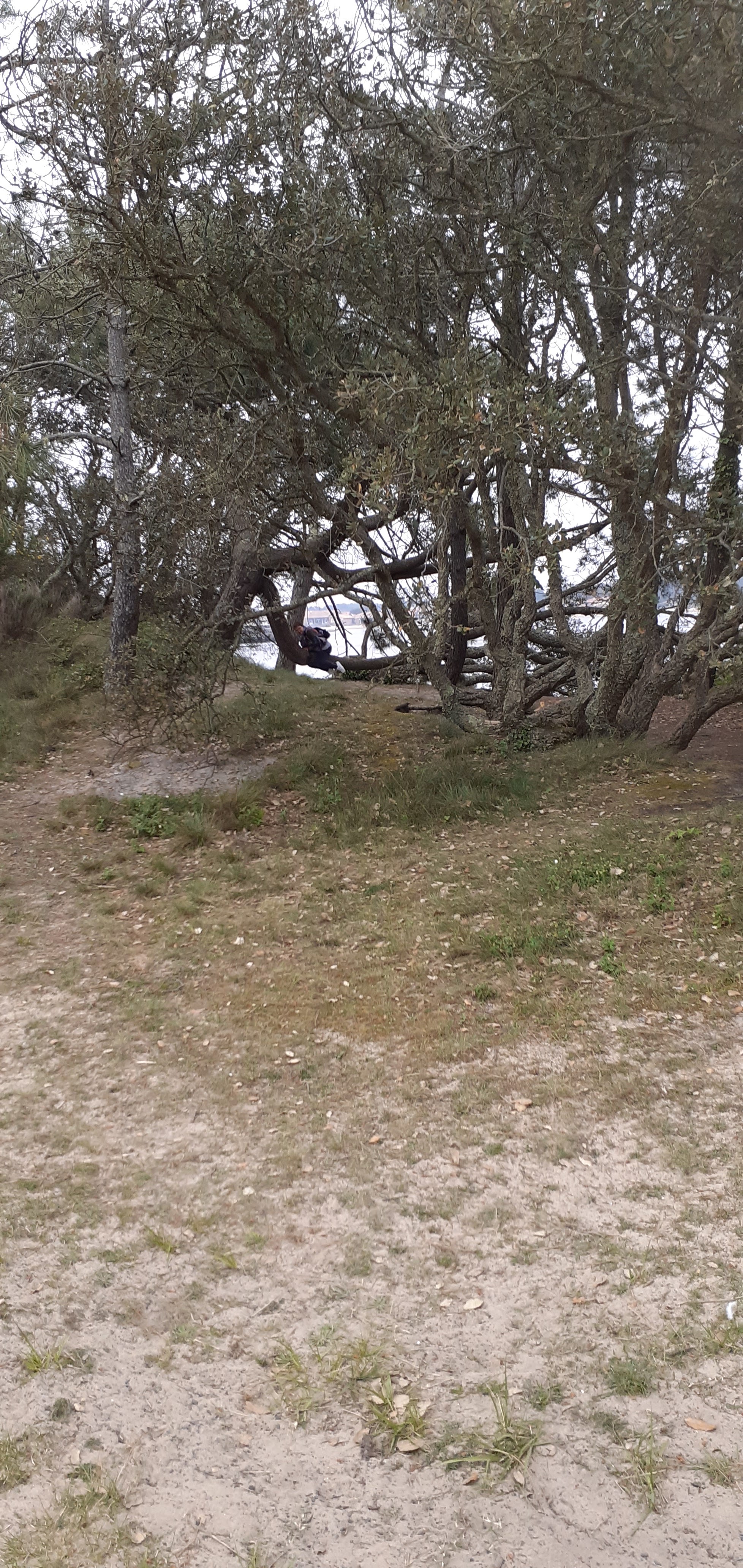 Photo n° 39 de l'avis de Arnaud. fait le 09/05/2022 à 16:02