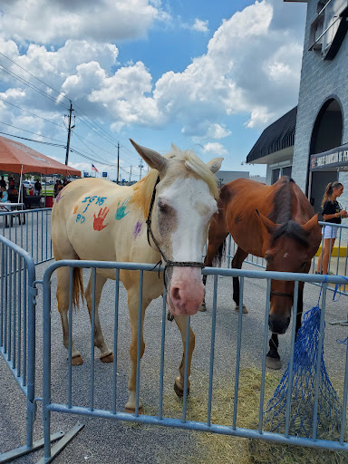 Harley-Davidson Dealer «Harley-Davidson of Pensacola», reviews and photos, 6385 Pensacola Blvd, Pensacola, FL 32505, USA