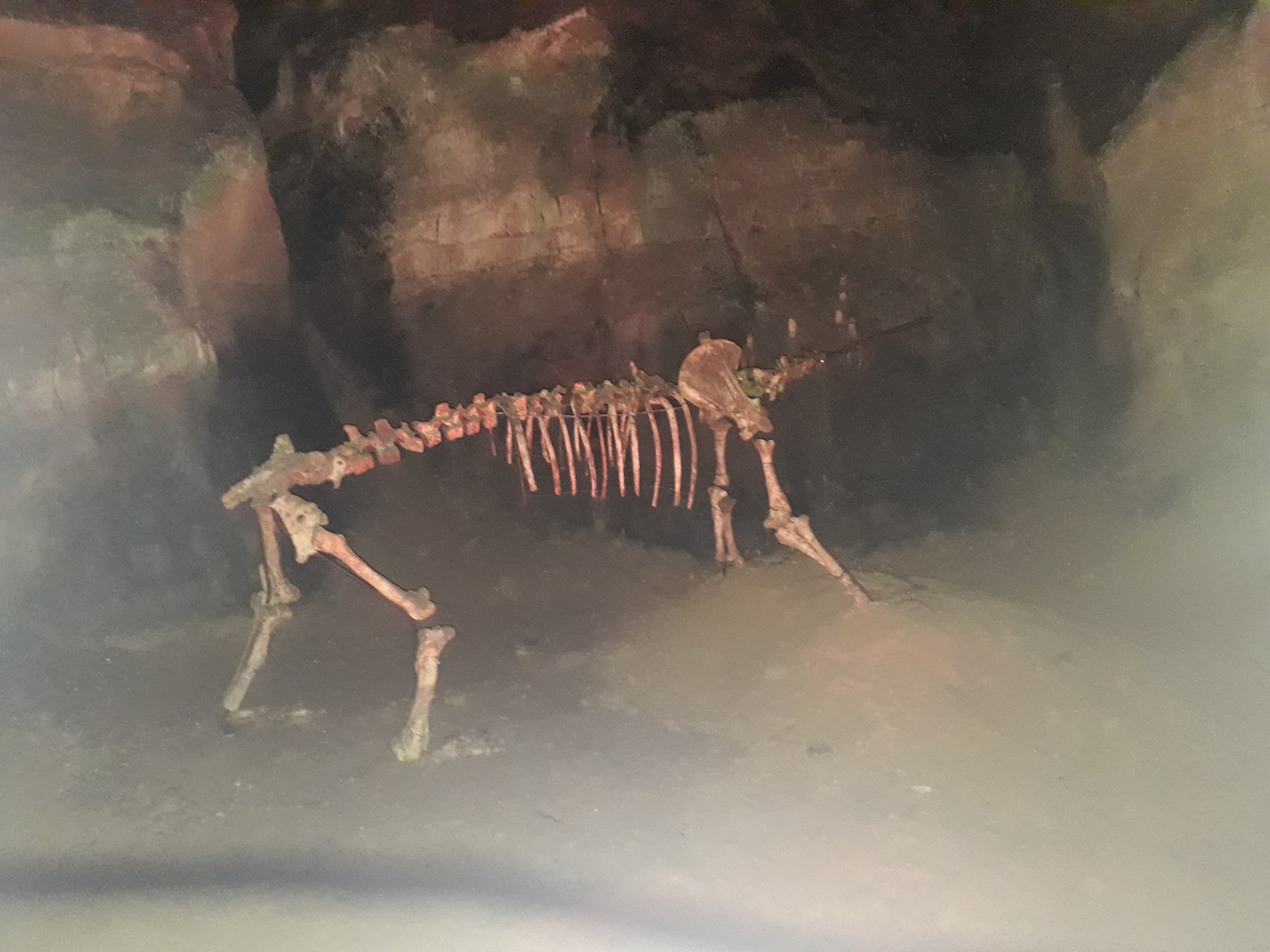Photo n° 2 de l'avis de Olivier.e fait le 22/04/2018 à 09:12