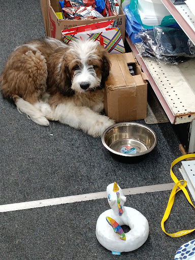 Liquor Store «Cahalan Liquor & Party Store», reviews and photos, 1266 Eureka Rd, Wyandotte, MI 48192, USA