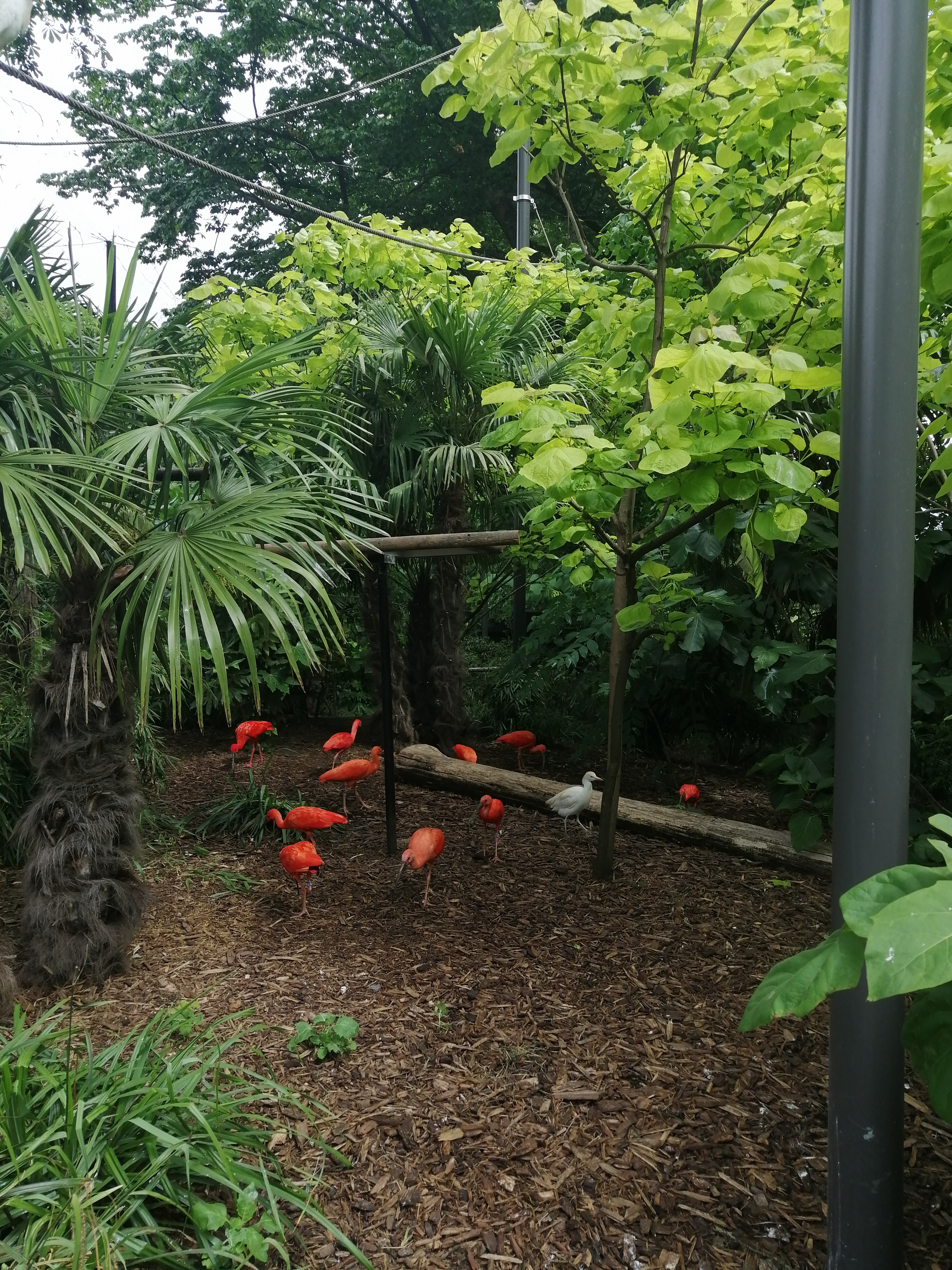 Photo n° 1 de l'avis de Cloé.e fait le 10/06/2022 à 16:07