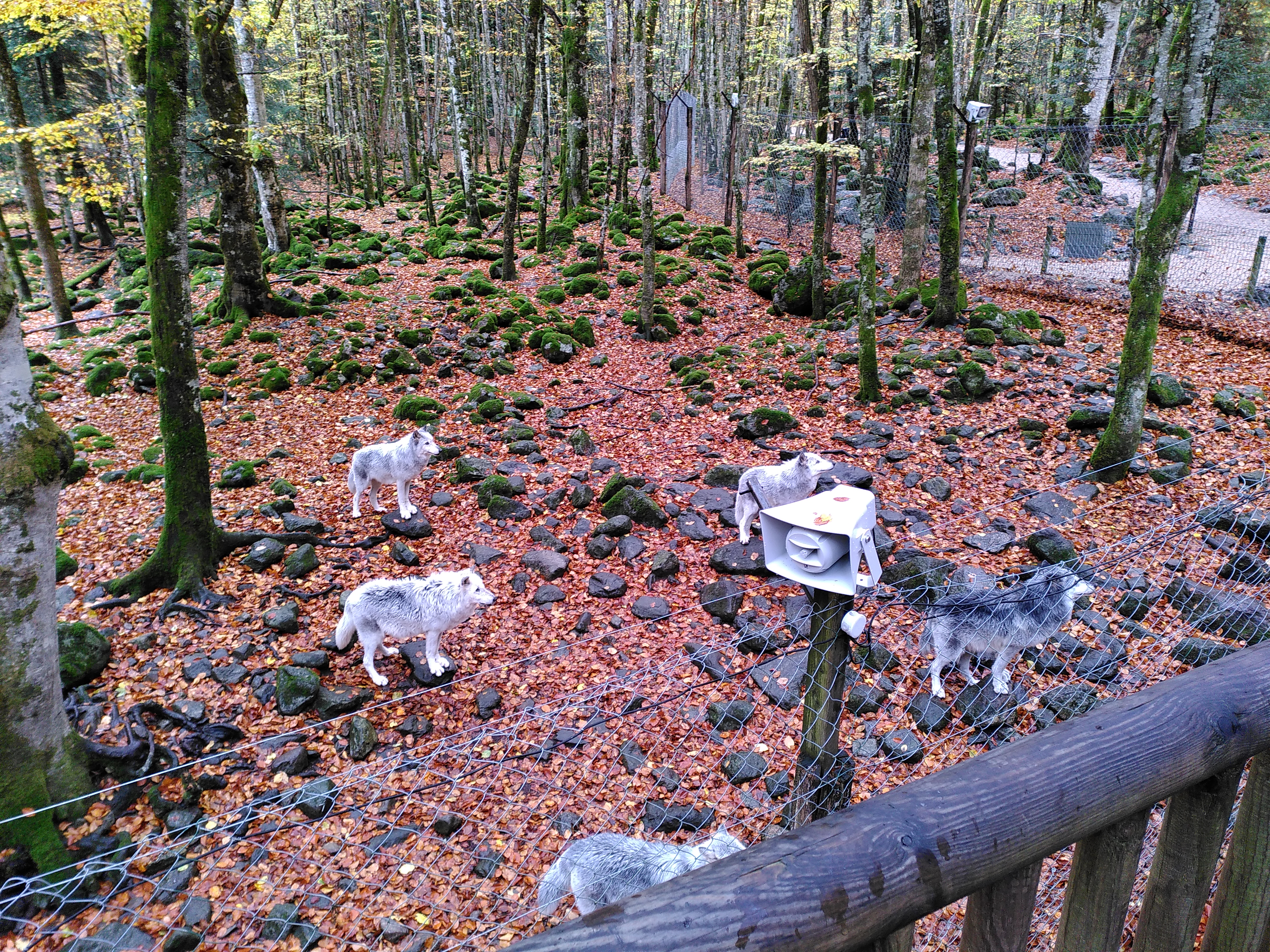 Photo n° 1 de l'avis de Benjamin.I fait le 01/11/2021 à 16:09