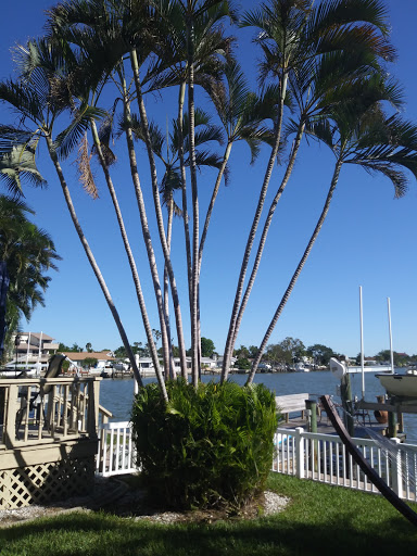 Golf Course «The Tides Golf Club», reviews and photos, 11832 66th Ave N, Seminole, FL 33772, USA