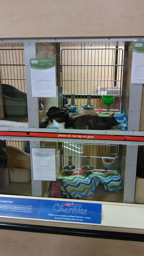 Pet Supply Store «PetSmart», reviews and photos, 156 Old Little Britain Rd, Newburgh, NY 12550, USA