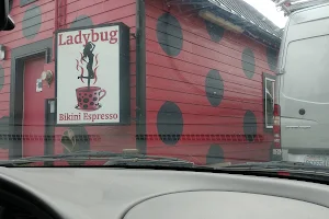 Ladybug Coffee image