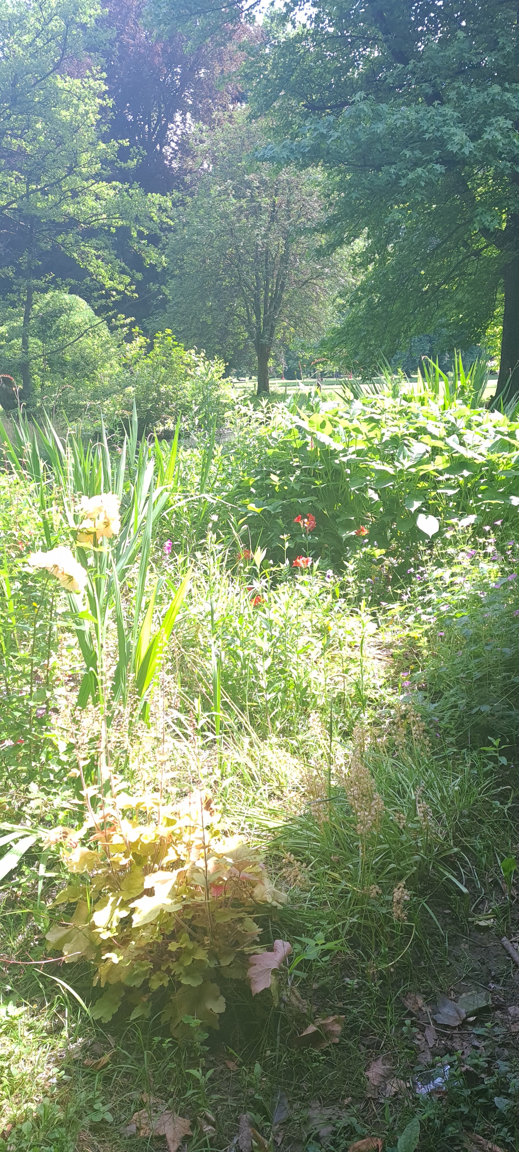 Photo n° 2 de l'avis de melia.r fait le 15/05/2023 à 07:46