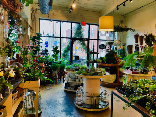 Florist «Flora», reviews and photos, 428 Haywood Rd B, Asheville, NC 28806, USA
