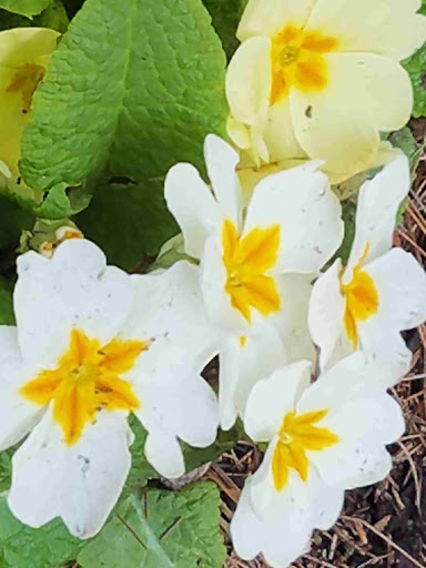 Laundromat «EZ Laundromat», reviews and photos, 282 E Main St, Marlborough, MA 01752, USA