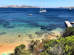 Spiaggia di Nelson'in fotoğrafı çok temiz temizlik seviyesi ile