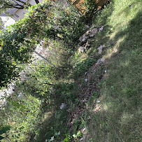 Jays Removal and Hauling Ent.LLC - Photo 8 - Car repair in , Milwaukee