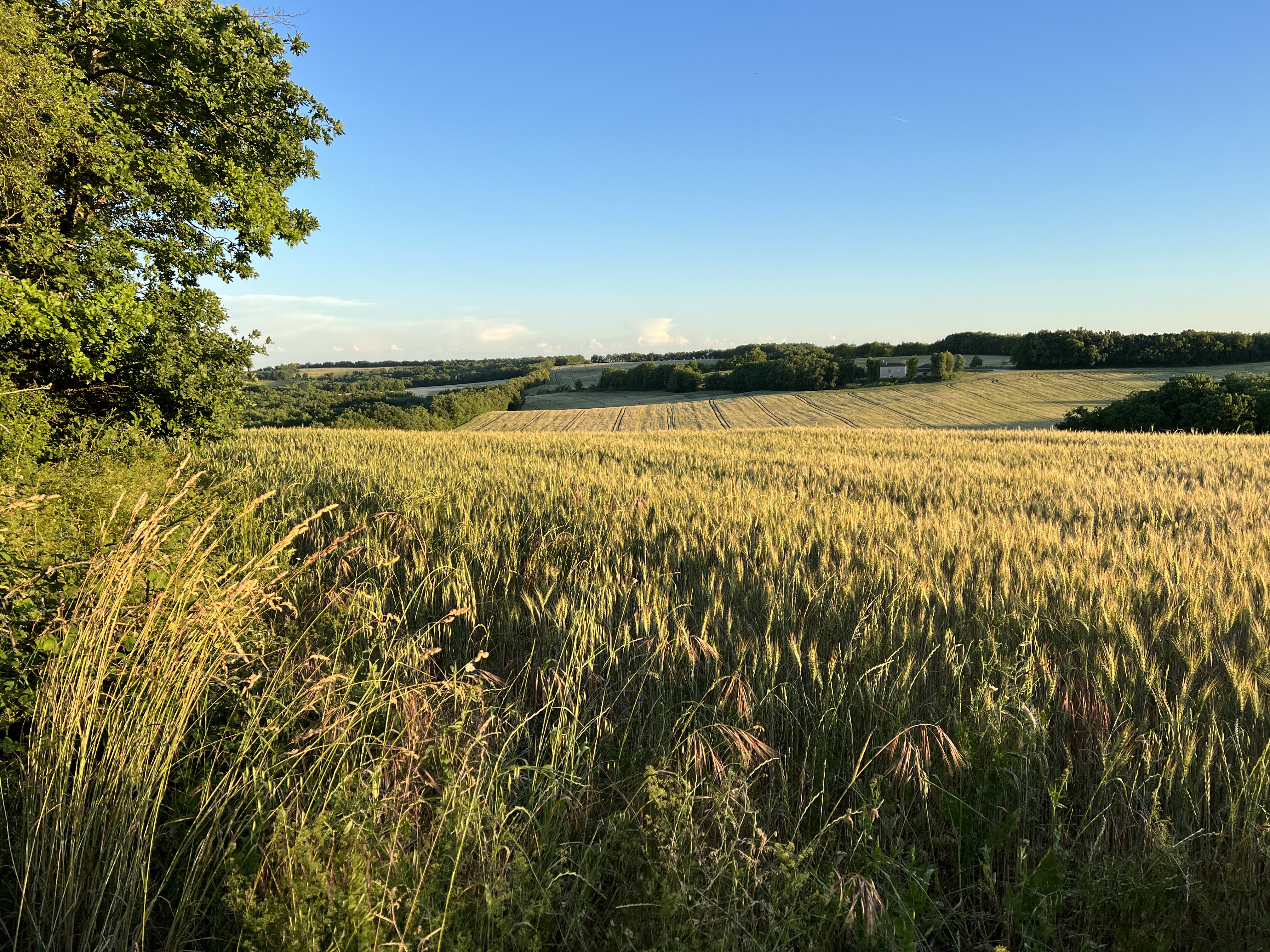 Photo n° 2 de l'avis de Anders.e fait le 21/06/2022 à 15:57
