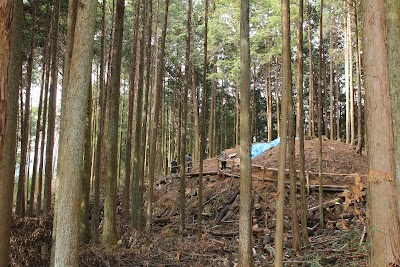 不動塚古墳群