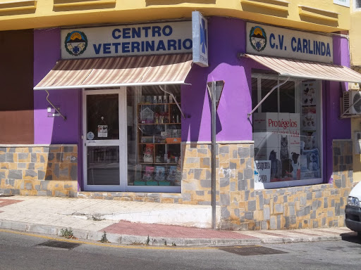 Peluquerias caninas y de mascotas en Málaga de 2024