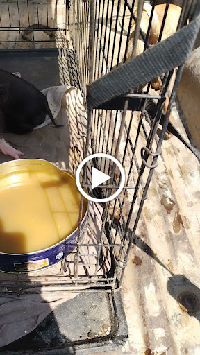 Animal Feed Store «Whittier Feed Store», reviews and photos, 12618 Penn St, Whittier, CA 90602, USA