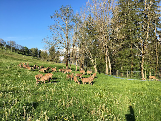Elevage de cerf Bio de la Gruyère - Domaine des Comballes - Bioladen