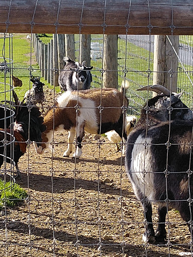 Supermarket «ALDI», reviews and photos, 105 N 11th Ave, Lebanon, PA 17046, USA