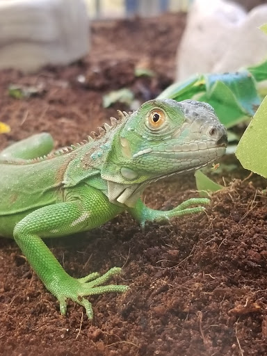 Pet Supply Store «PetSmart», reviews and photos, 4180 US-1, Monmouth Junction, NJ 08852, USA