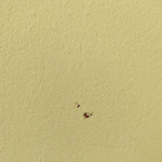 Photo n°5 de l'avis de Holger.e fait le 31/10/2022 à 10:33 sur le  Hotel Schloss Schweinsburg à Neukirchen