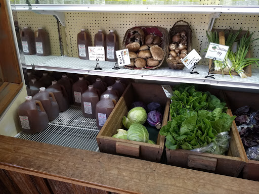 Farm «Sun High Orchards», reviews and photos, 19 Canfield Ave, Randolph, NJ 07869, USA