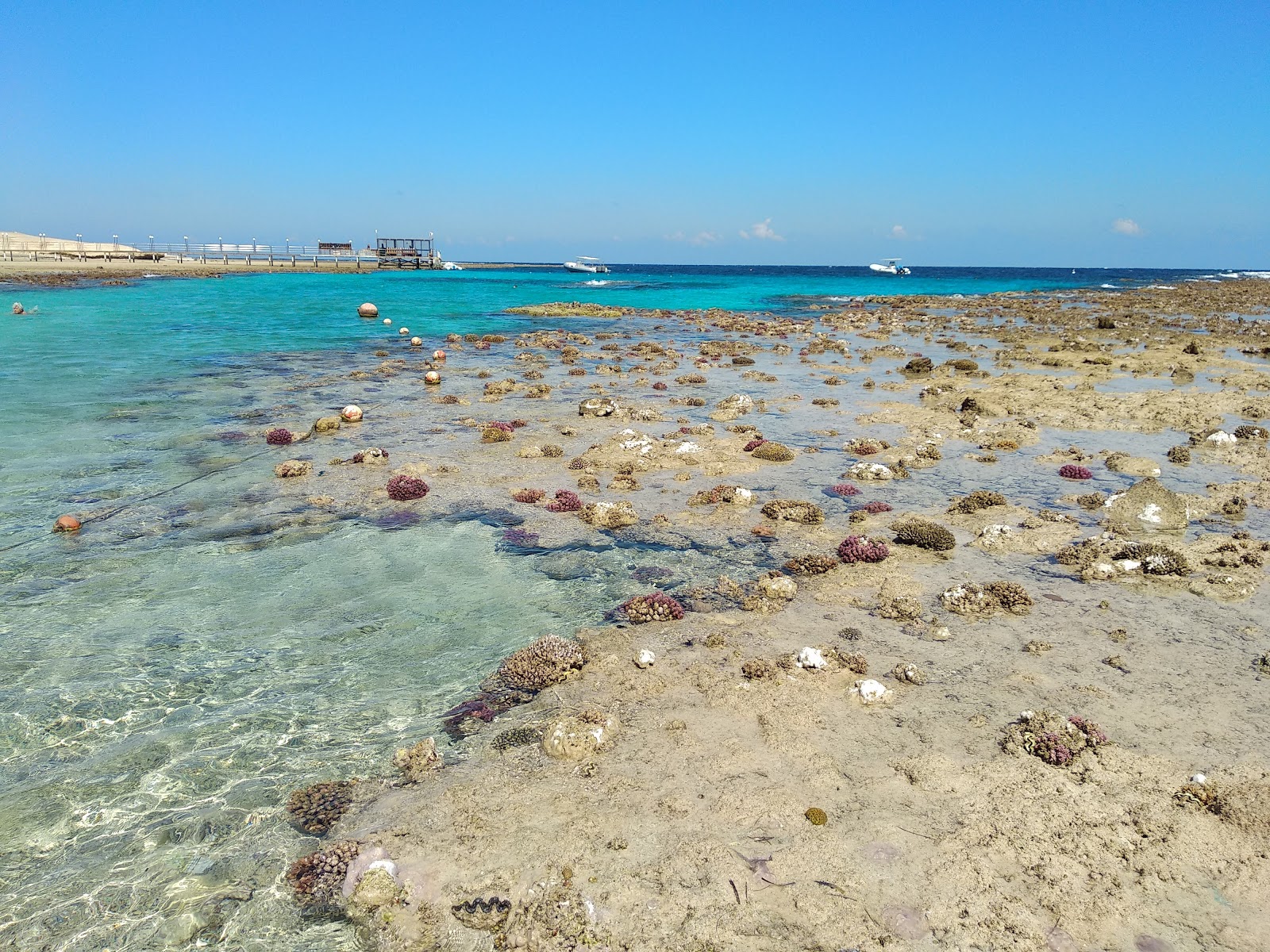 Foto di Spiaggia del Movenpick Resort El Quseir e l'insediamento